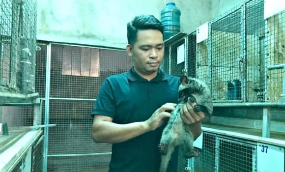 03-chon-huong-1.jpg 0 chồn hương, cách làm giàu