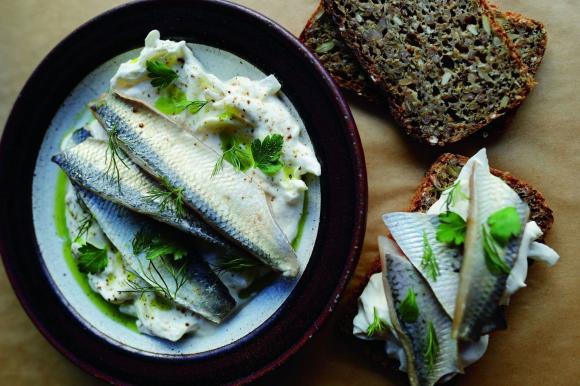 Loại cá mang đến sự trường thọ: Người Nhật rất thích ăn, biển Việt Nam nhiều vô kể, giá lại rẻ 1 Cá trích, công dụng của cá trích