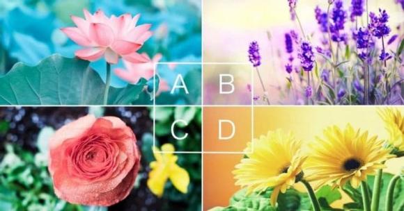 hoa-yeu-thic.jpg 0 trắc nghiệm tâm lý