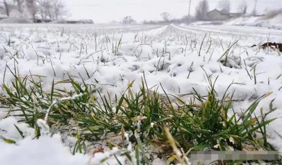 mua-dong (1).jpg 0 dự báo thời tiết