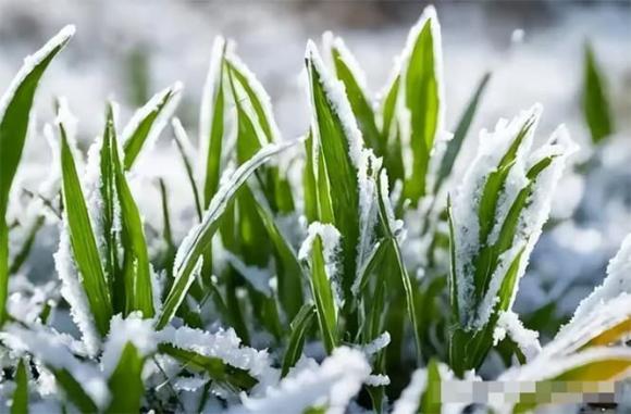 mua-dong (1).jpg 1 dự báo thời tiết