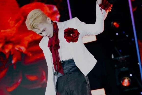 thẩm định lại lý lịch nghệ sĩ, sao Việt