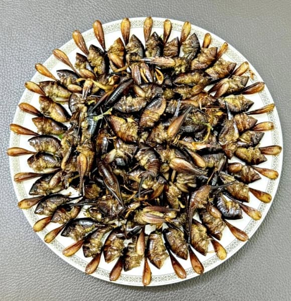 Lạng Sơn, đặc sản, Tôm rừng