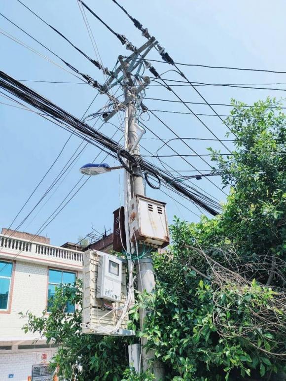 cay-truoc-nha.jpg 1 nhà phạm phong thuỷ