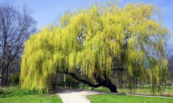 phong thủy, phong thủy chọn vị trí nhà ở, vị trí nhà ở, chọn vị trí xây nhà 