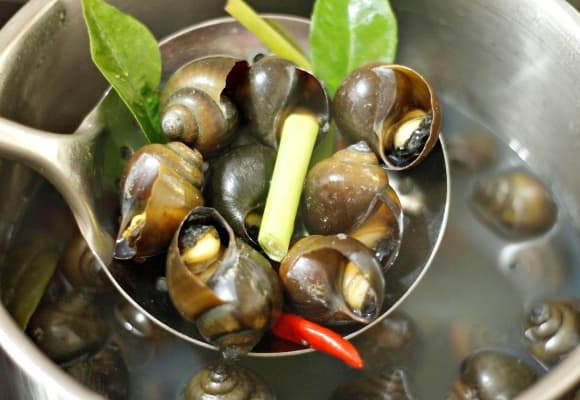 06-oc-luoc-1.jpg 2 luộc ốc, ốc luộc, mẹo hay