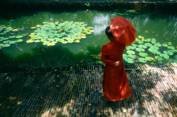 nhà xuân hinh 1 Xuân Hinh, nhà Xuân Hinh, nhà sao