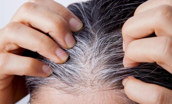 toc-bac (1).jpg 0 tóc bạc