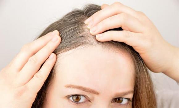 toc-bac (1).jpg 1 tóc bạc