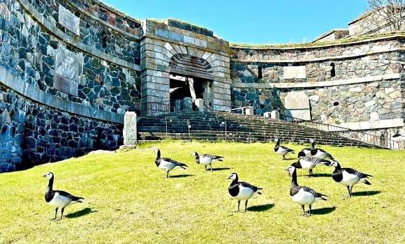 Pháo đài trên biển lớn nhất thế giới, Suomenlinna, Phần Lan