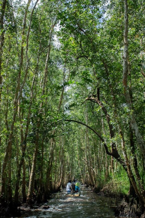 Khu du lịch sinh thái Sông Trẹm, du lịch rừng u minh