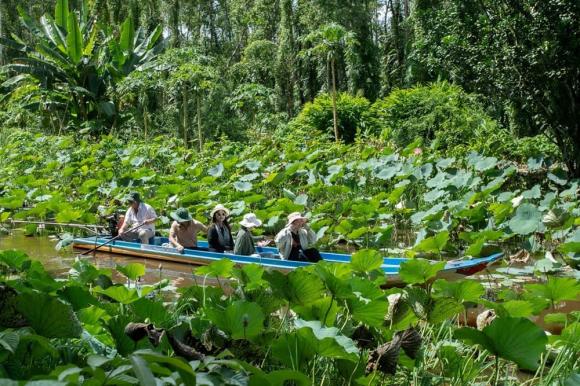 Khu du lịch sinh thái Sông Trẹm, du lịch rừng u minh