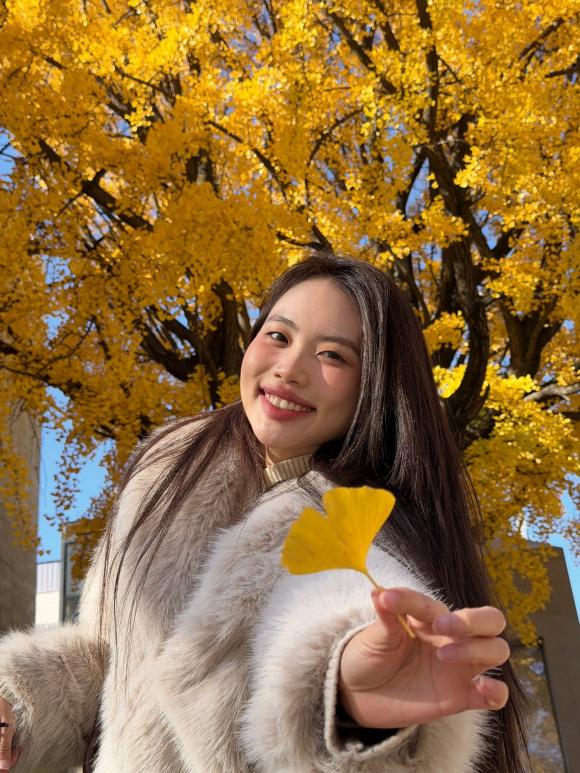 Sao Việt 17/11, tin sao việt mới nhất