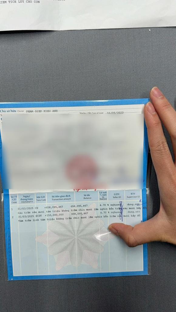 Diệp Lâm Anh, Đức Phạm, sao Việt