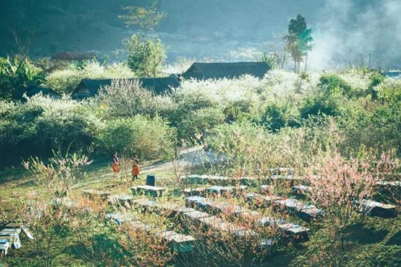 Khám phá 5 điểm đến nổi tiếng miền Bắc đang 'gây sốt' mỗi khi trời trở lạnh, khung cảnh cứ ngỡ châu Âu 1 Du lịch miền bắc, điểm đến miền bắc mùa se lạnh