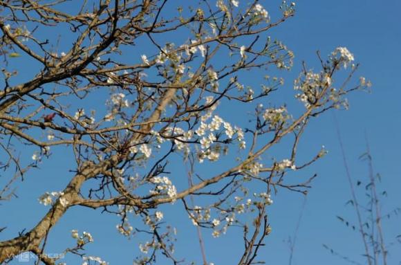 Chiêm ngưỡng vẻ đẹp mê mẩn của Ngôi làng du lịch tốt nhất thế giới 2025 tại Việt Nam 3 Làng du lịch tốt nhất thế giới năm 2025, Lô Lô Chải