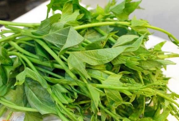 rau lang 1 rau lang, rau chống ung thư, kiến thức