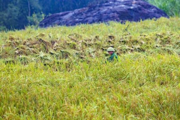 Du lịch pù luông, cảnh đẹp pù luông