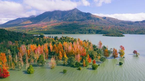 Rừng lá đỏ đẹp như phim ở tây Quảng Trị