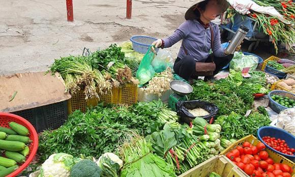 giá rau, rau tăng giá, kiến thức