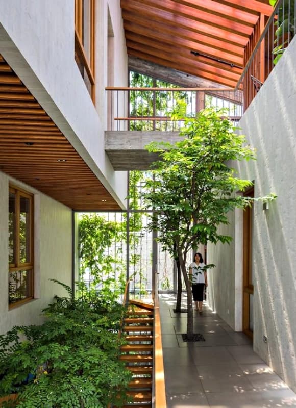 khu rừng nhiệt đới, TP.HCM, giải thưởng kiến trúc quốc tế, thiết kế ngôi nhà