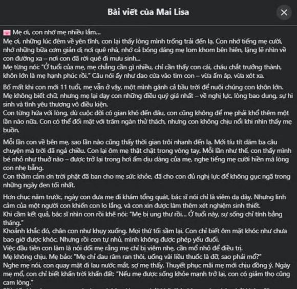 thẩm mỹ viện Mailisa 2 thảm mỹ viện mailisa, khởi tố và tạm giam bà Phan Thị Mai và ông Hoàng Kim Khánh