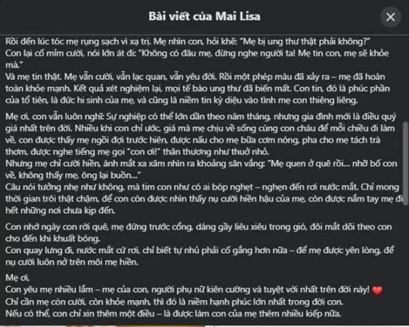 thẩm mỹ viện Mailisa 1 thảm mỹ viện mailisa, khởi tố và tạm giam bà Phan Thị Mai và ông Hoàng Kim Khánh