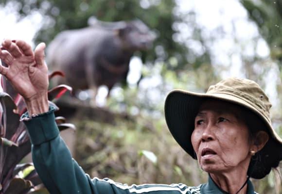 lũ lụt tại Đắk Lắk, thiệt hại do mưa lũ, lũ lụt miền Trung, mưa lũ miền trung