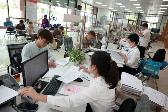  việc làm, công chức, kiến thức