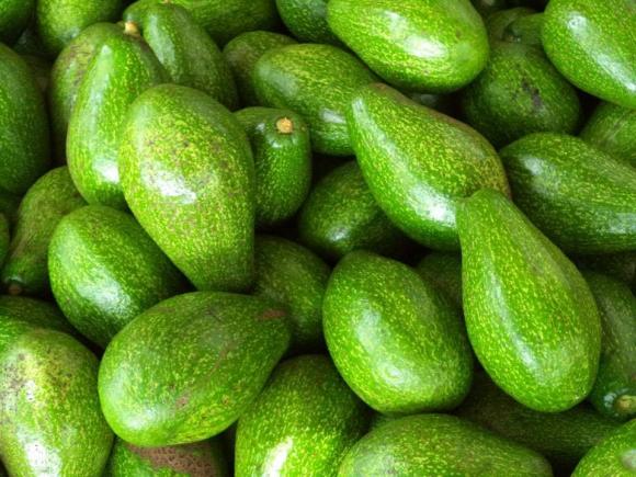 quả bơ, quả trồng nhiều ở Việt Nam, kiến thức