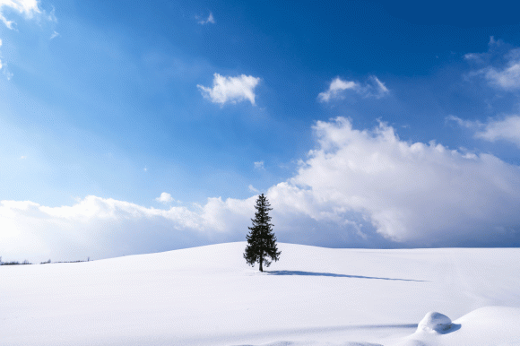 Nhật bản, du lịch nhật bản