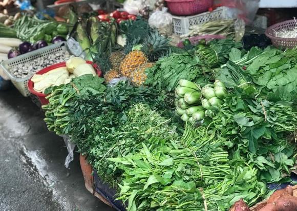 rau xanh 0 rau xanh, giá rau xanh, kiến thức