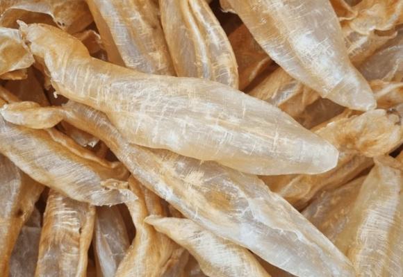 Bóng cá, công dụng của bóng cá