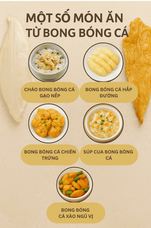 Bóng cá, công dụng của bóng cá