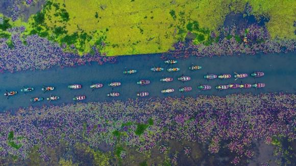 Sông ngô đồng, cảnh đẹp sông ngô đồng