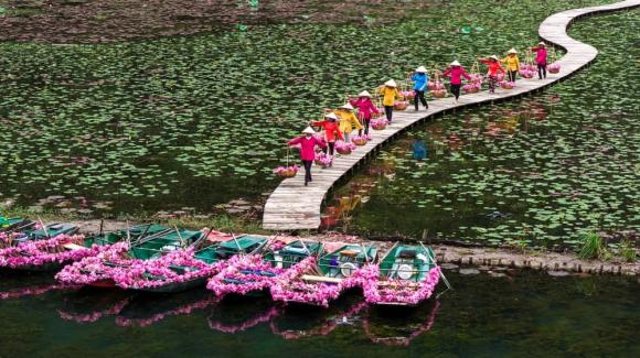 Sông ngô đồng, cảnh đẹp sông ngô đồng