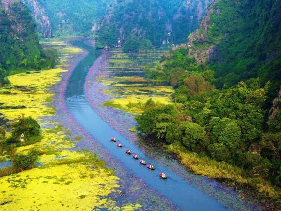 Sông ngô đồng, cảnh đẹp sông ngô đồng