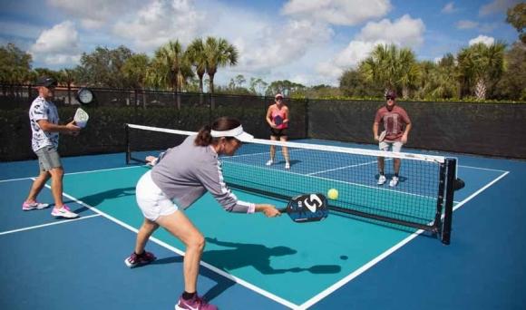 pickleball, cấm pickleball, kiến thức