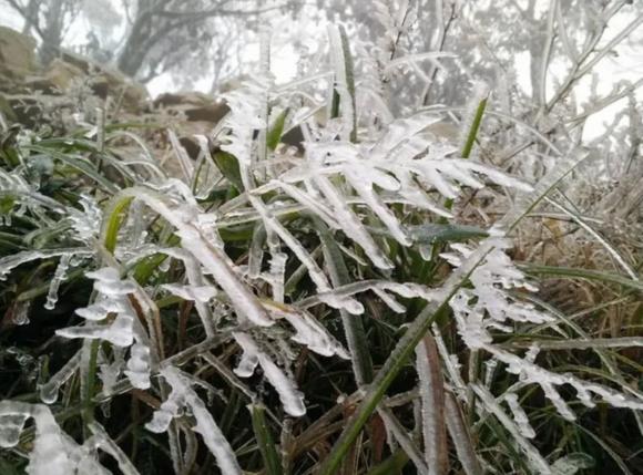 thời tiết, dự báo thời tiết, thời tiết 27/11