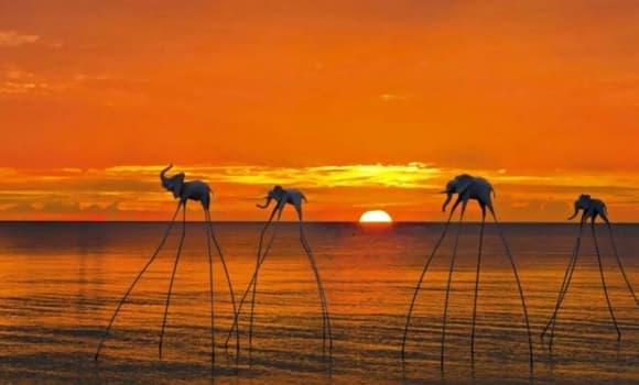 bãi biển tại Việt Nam đẹp nhất vào mùa đông - xuân, Đảo Ngọc Phú Quốc, bãi biển vào dạng hiếm ở Việt Nam