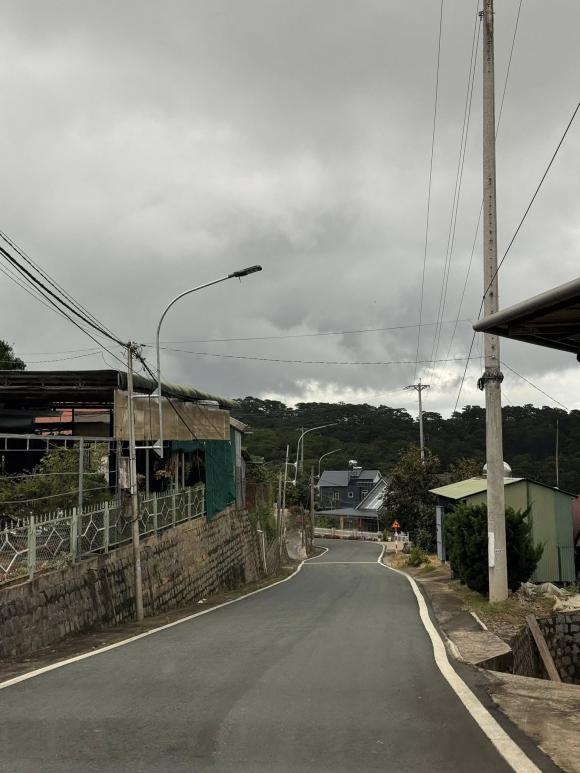 Tăng Thanh Hà, con dâu tỷ phú Johnathan Hạnh Nguyễn, kiến thức