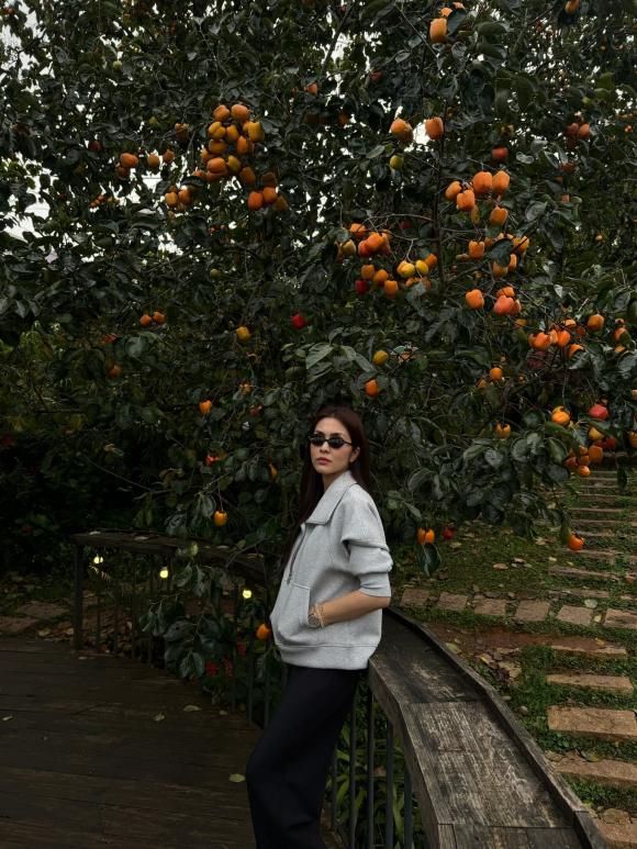 Tăng Thanh Hà, con dâu tỷ phú Johnathan Hạnh Nguyễn, kiến thức