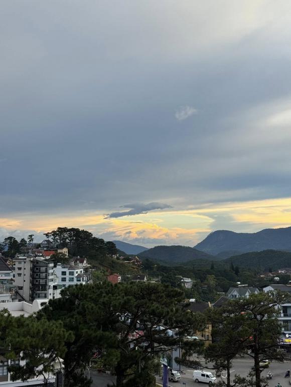 Tăng Thanh Hà, con dâu tỷ phú Johnathan Hạnh Nguyễn, kiến thức