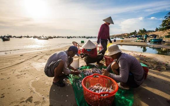 thiên đường du lịch miền Trung, mũi né