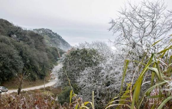 khong-khi-lanh-bao-trum-mien-bac-ret-nhat-2-do-c.jpg 0 Không khí lạnh, thời tiết, miền bắc