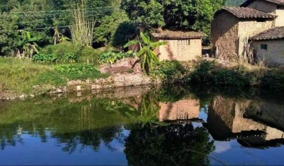 ao trước nhà, trước nhà có ao, phong thủy nhà ở