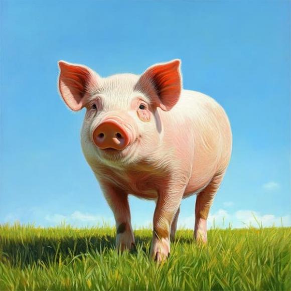 Tử vi, con giáp, tử vi hàng ngày, tử vi ngày 29/11/2025