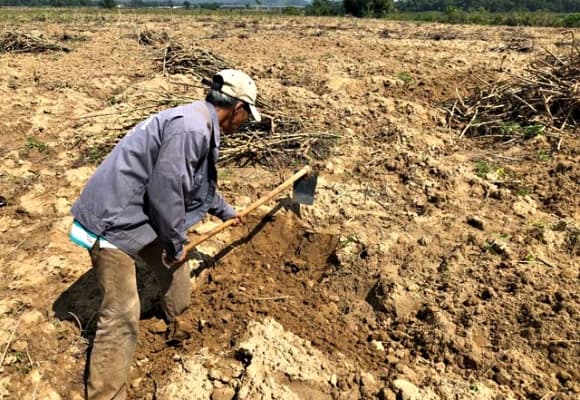 rắn đen mắt đỏ, đồ cổ, cổ vật, rồng