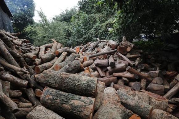 cá kho làng Vũ Đại 