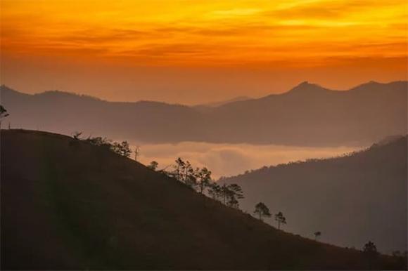 cach-ha-noi-135km-co-mot-doi-co-chay-dep-nhu-trong-tranh-duoc-vi-nhu-da-lat-thu-nho (1).jpg 0 đồi cỏ cháy, Đồi Phượng Hoàng, Quảng Ninh